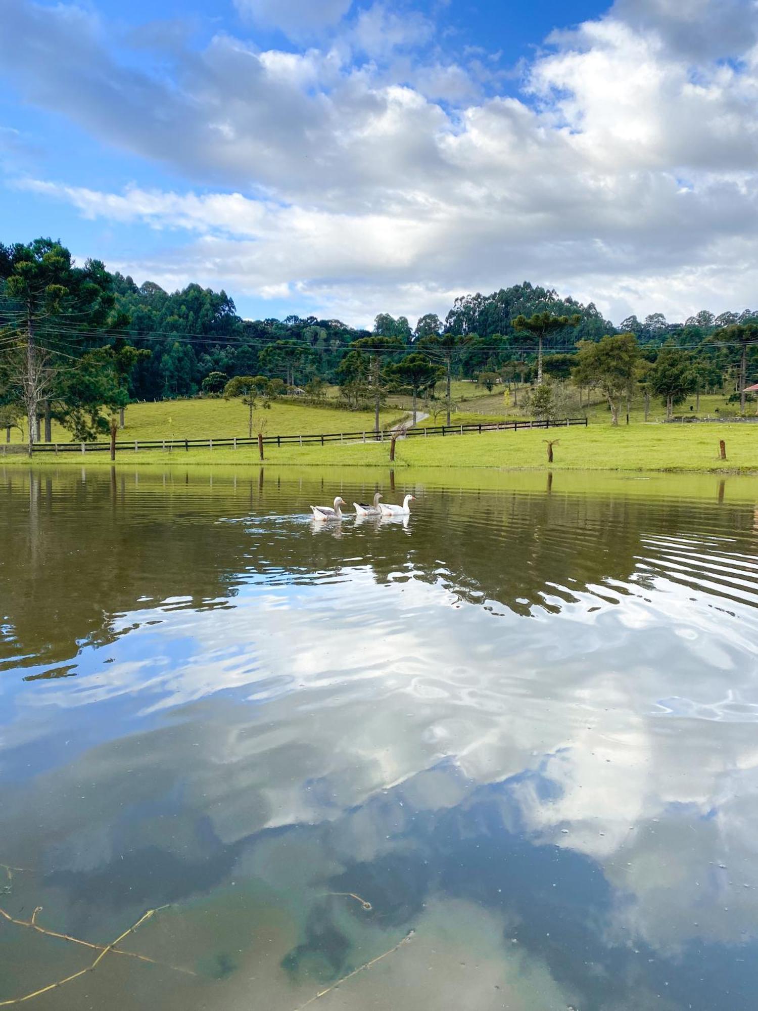 Pousada Rural Pavao - Suites E Chales Urubici Luaran gambar